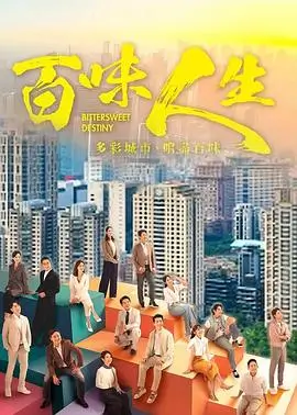 雾隐之城 电视剧海报